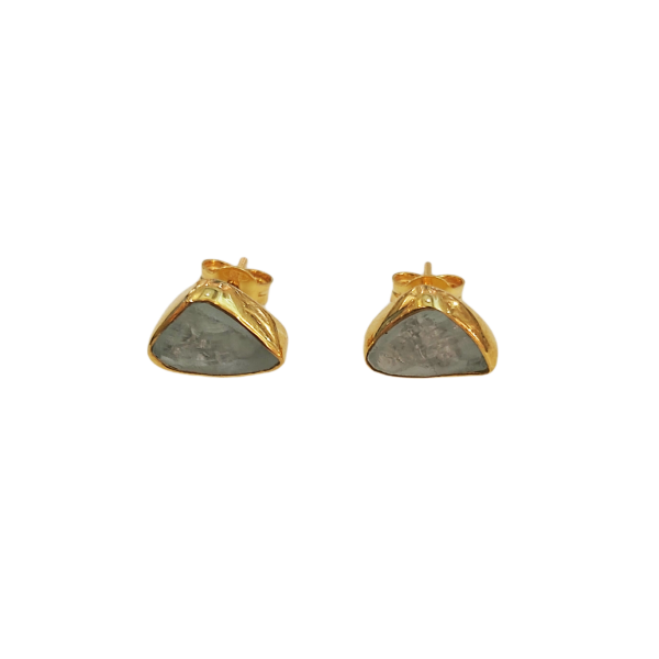 Earrings made of Gold Plating siver